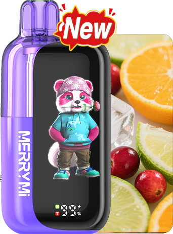 Buy Merrymi PANDA X Free Delivery EU - Image 6