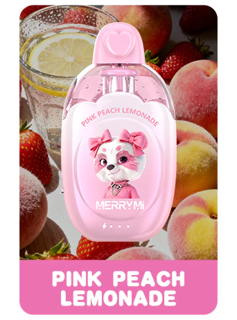 Buy merrymi kitty Online - Image 2