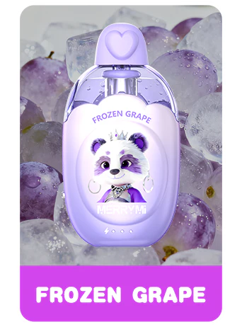 Buy merrymi kitty Online - Image 7