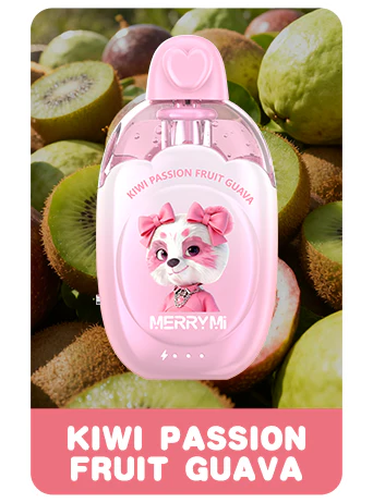 Buy merrymi kitty Online - Image 6