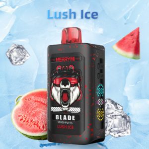 Merry Mi Blade Jednorazowy e-papieros 30000 Buchów o smaku Lush Ice