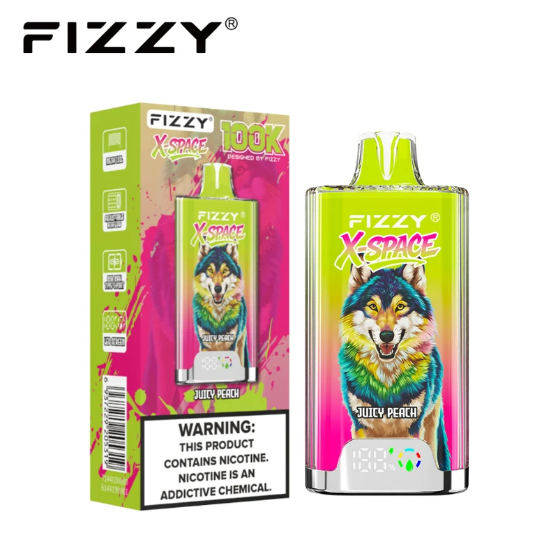 Fizzy X-Space 100K 100000 Puffs Disposable Vape - Image 19