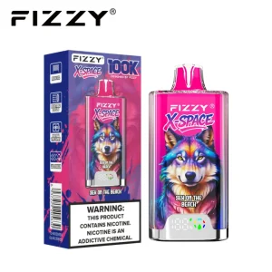 Fizzy X-Space 100K 100000 Puffs Disposable Vape