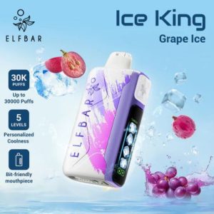 Disposable E Cigarette Elf Bar Ice King 30000 Puffs Vape