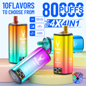 Disposable E Cigarette Stag Bar 80000 Puffs 4 in 1 Vape
